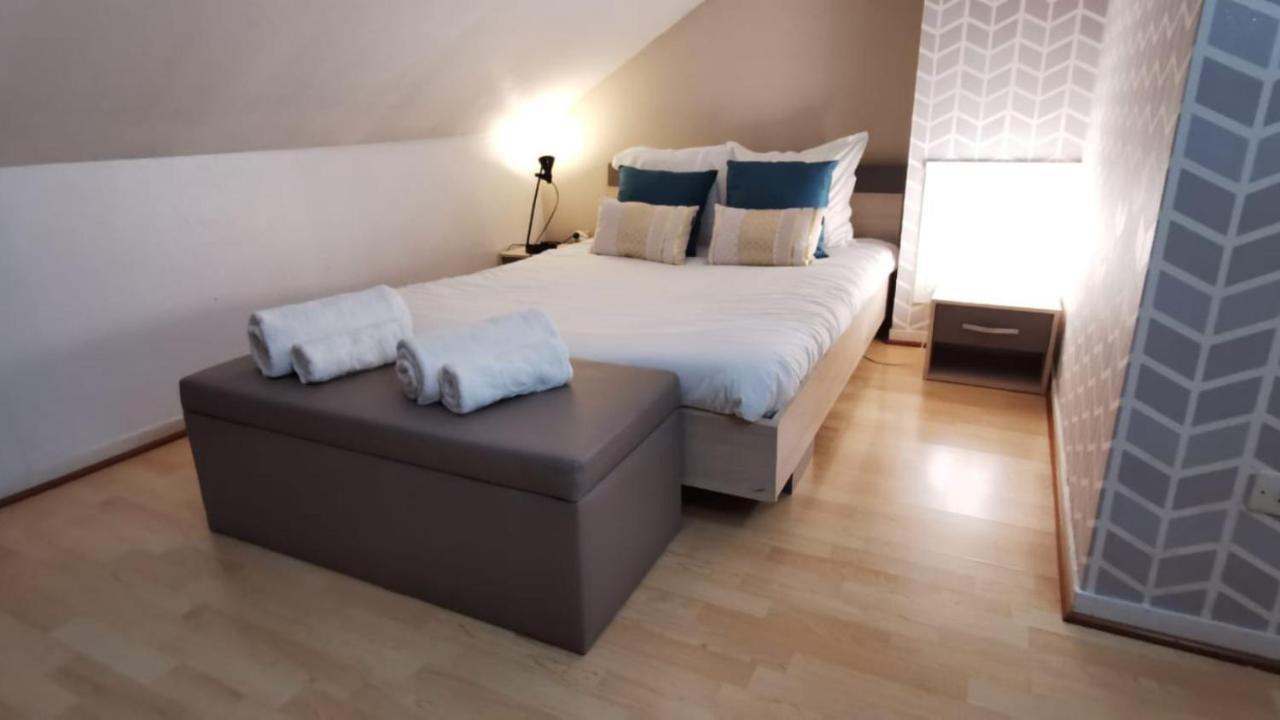 Le Duplex - Hyper Centre - Gare - Wifi - Netflix - Disney + アヌシー エクステリア 写真